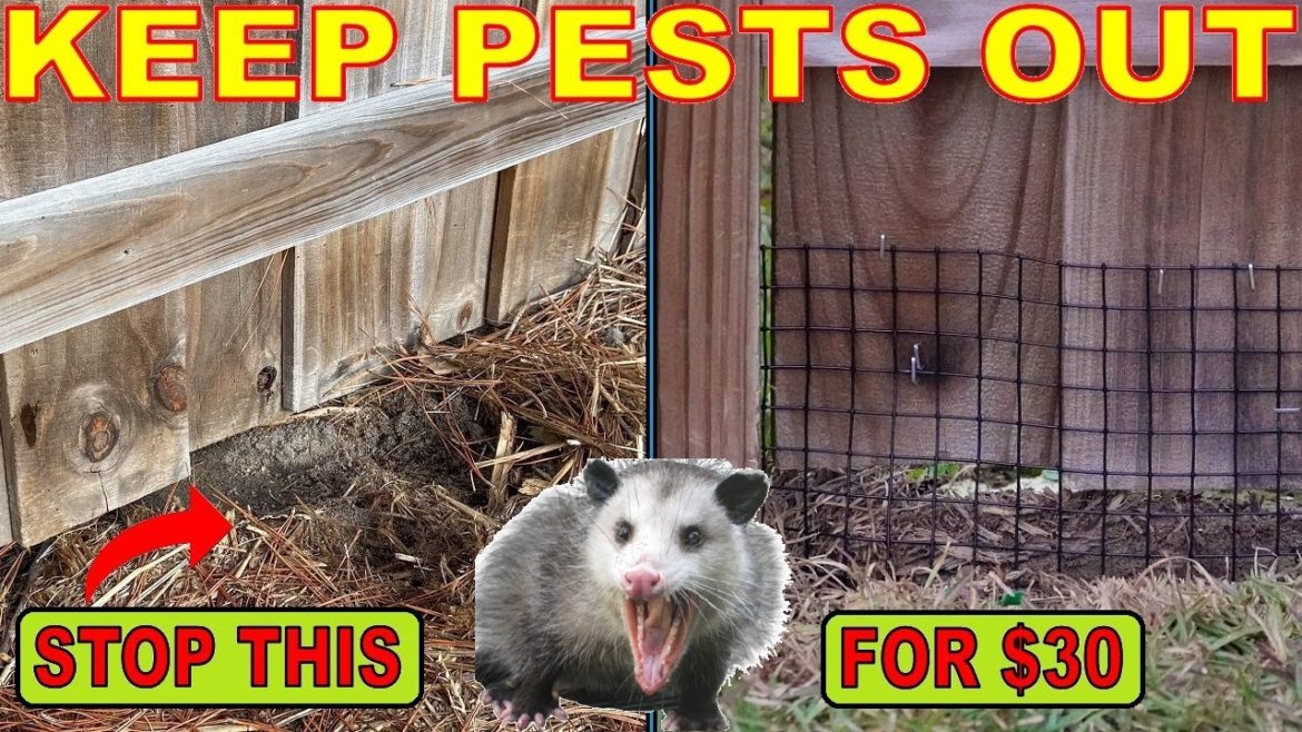KEEP CRITTERS OUT Of Your Yard And Garden: THIS ACTUALLY WORKED! KEEP CRITTERS OUT Of Your Yard And Garden: THIS ACTUALLY WORKED!