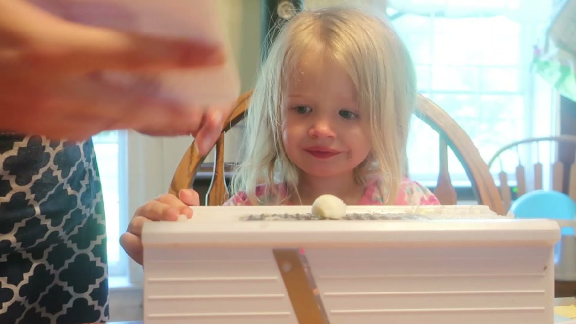 Harvesting and Freezing Fresh Garlic | Container Garden Garlic! Harvesting and Freezing Fresh Garlic | Container Garden Garlic!