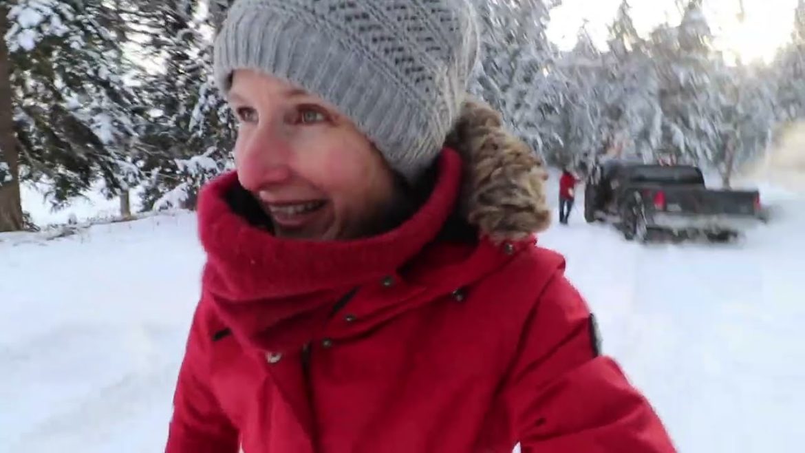 -30 and Nothing Will Start | Indoor Grow Room | Gingerbread Cookies