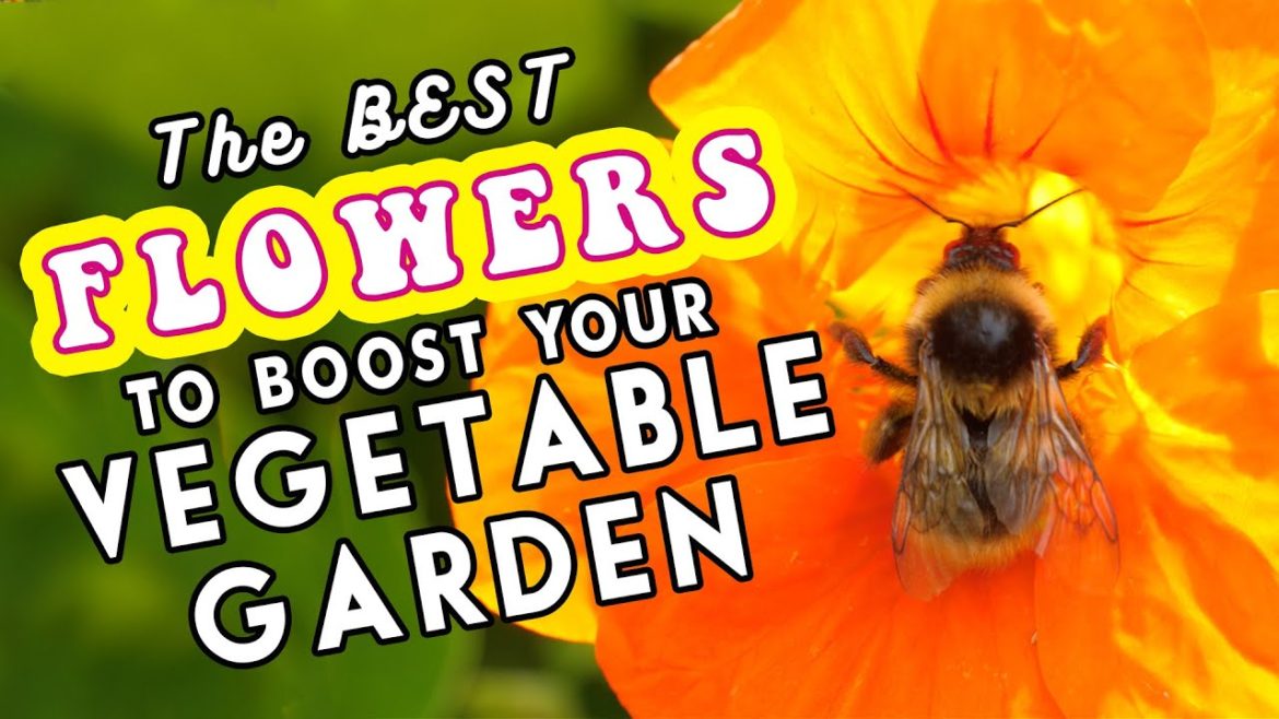 The Best Flowers To Boost Vegetable Gardens 🌺🐝🦋
