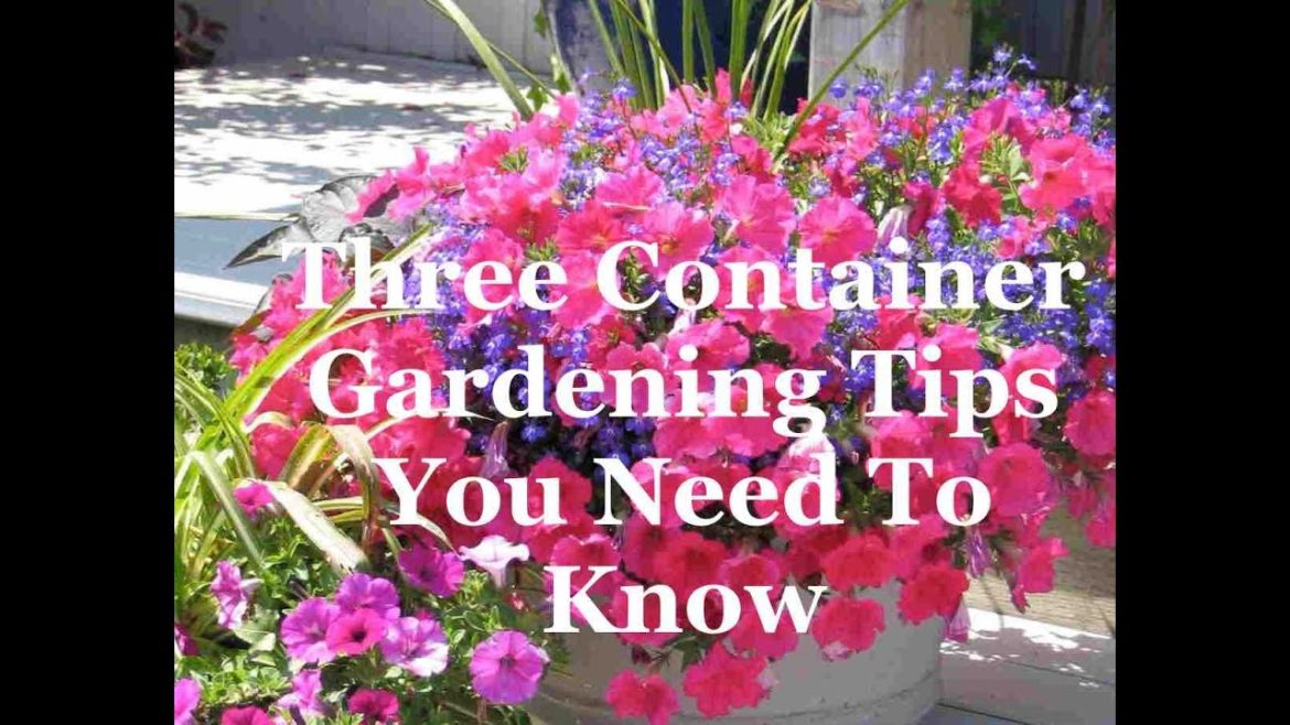 Three Container Gardening Tips You Need To Know