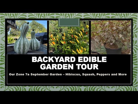 September Backyard Edible Garden Tour | Our Fall Gardening September Backyard Edible Garden Tour | Our Fall Gardening