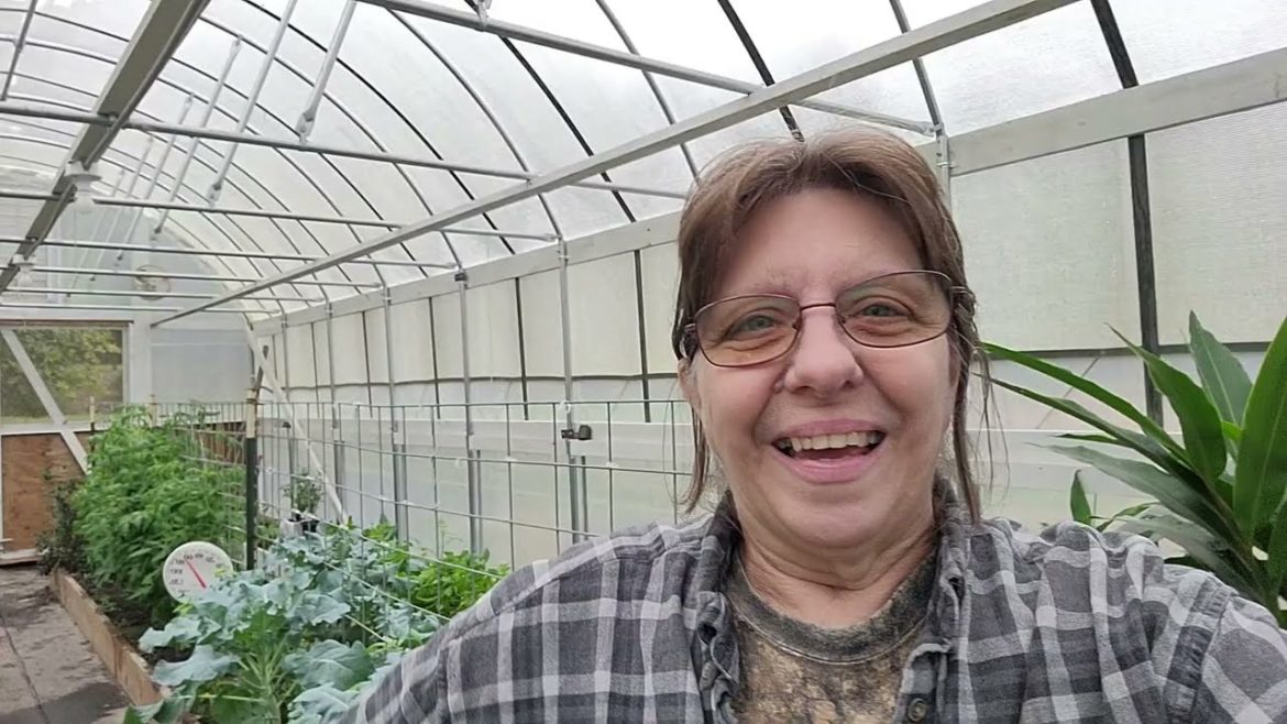 Greenhouse Update BEFORE the Artic Blast 2022