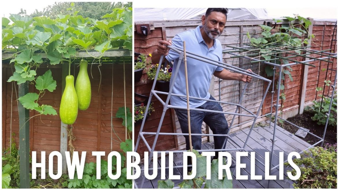 How To Make A Trellis Using A Garden Shelf | Gardening Tips For Beginners