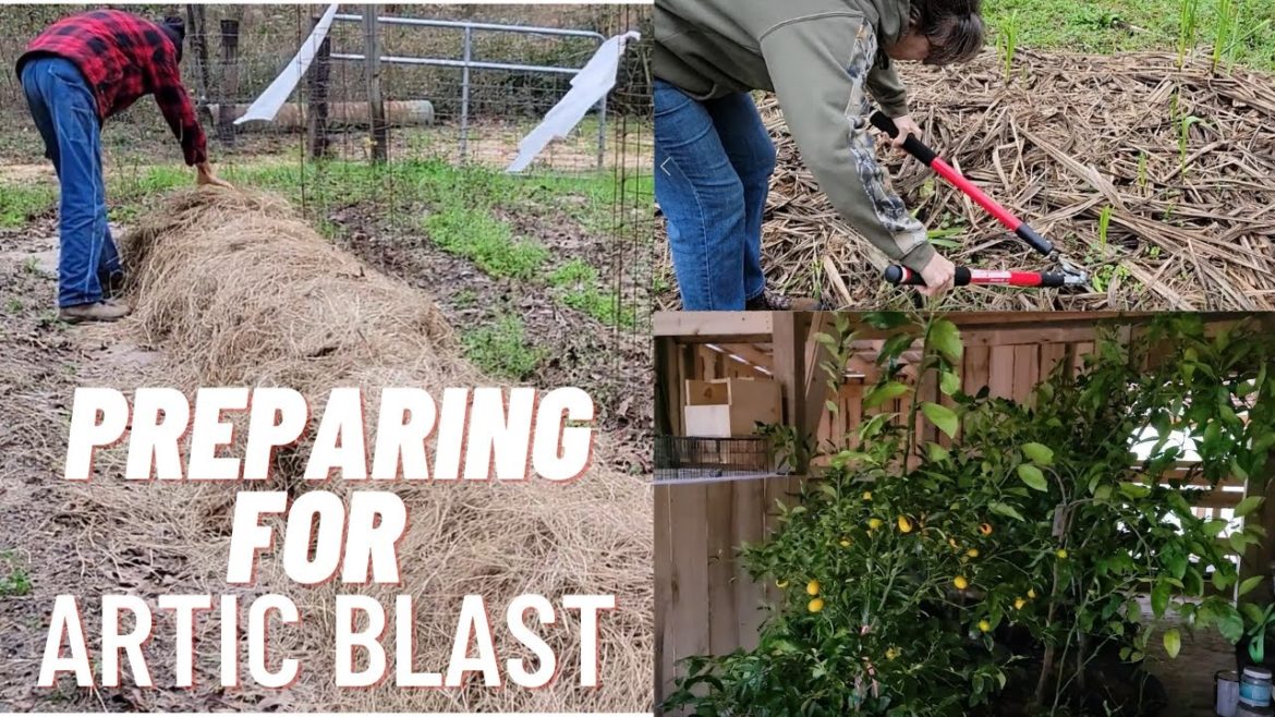 Winterizing the HOMESTEAD – Artic Polar Blast 2022 Winterizing the HOMESTEAD - Artic Polar Blast 2022