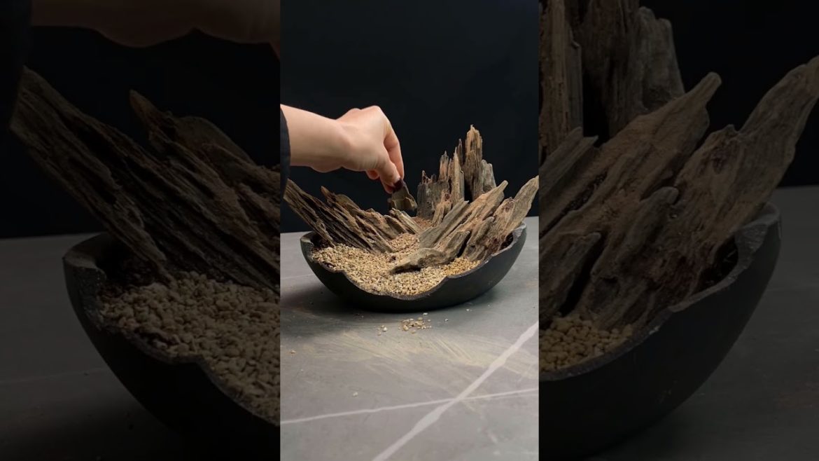 Small Garden Ideas DIY at Home | Miniature Garden | Terrarium Design Ideas | Ep 01 #Shorts