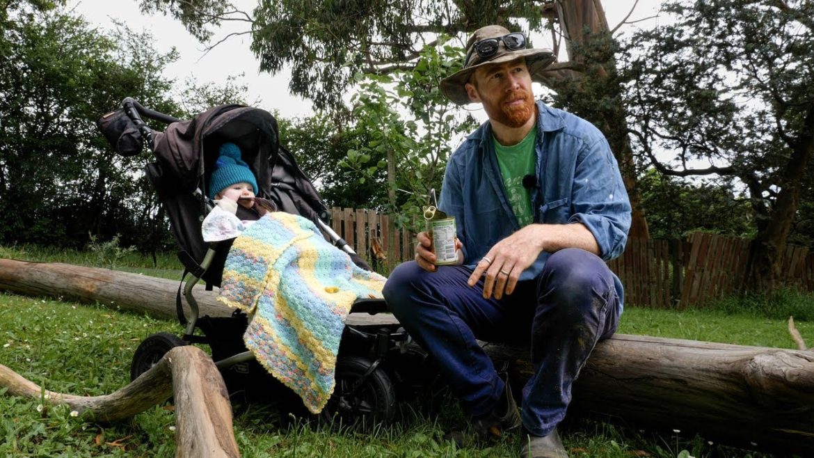 An entire tree of firewood for our new kid An entire tree of firewood for our new kid