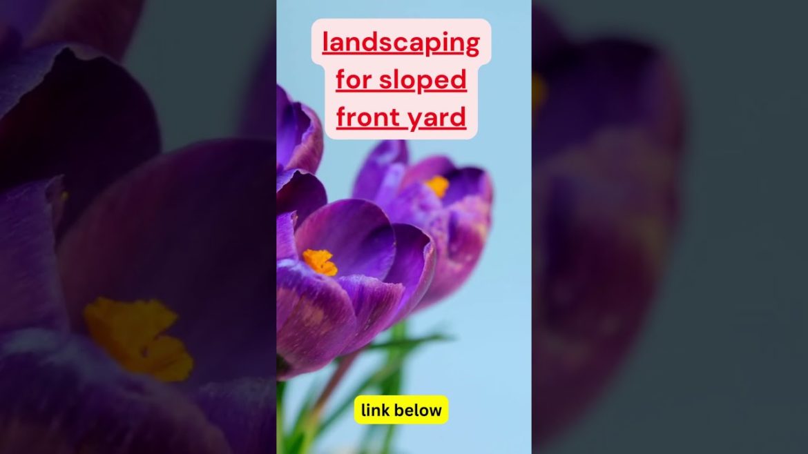 landscaping for sloped front yard