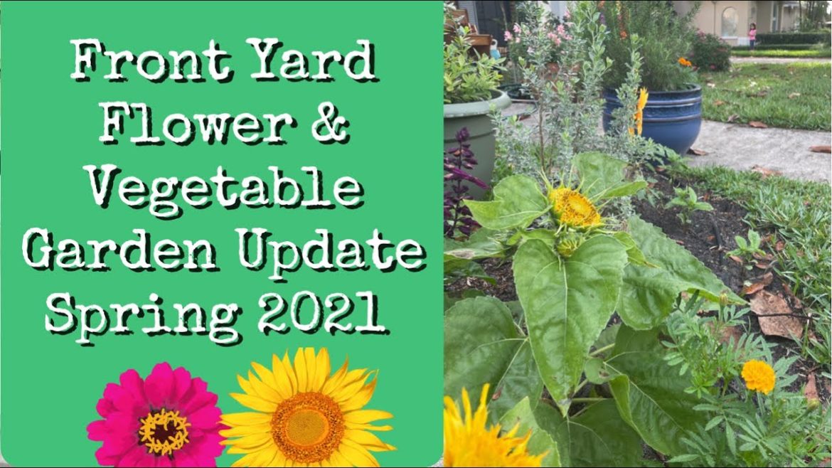 Front Yard Flower and Vegetable Garden Update, Florida Spring 2021#garden #florida #flower