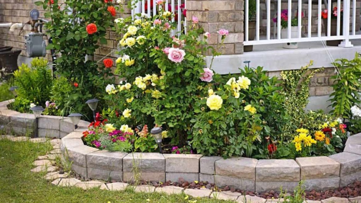25 Gorgeous Rose Garden Ideas For Inspiration