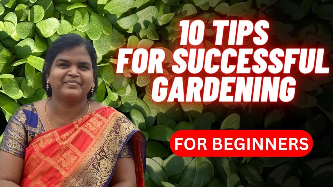 Basic Tips For Gardening | How To Start Gardening | మిద్దె తోట