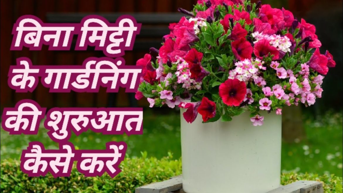 गमलों में पौधे लगाए वो भी बिना मिट्टी के || Container Gardening Without Soil ||