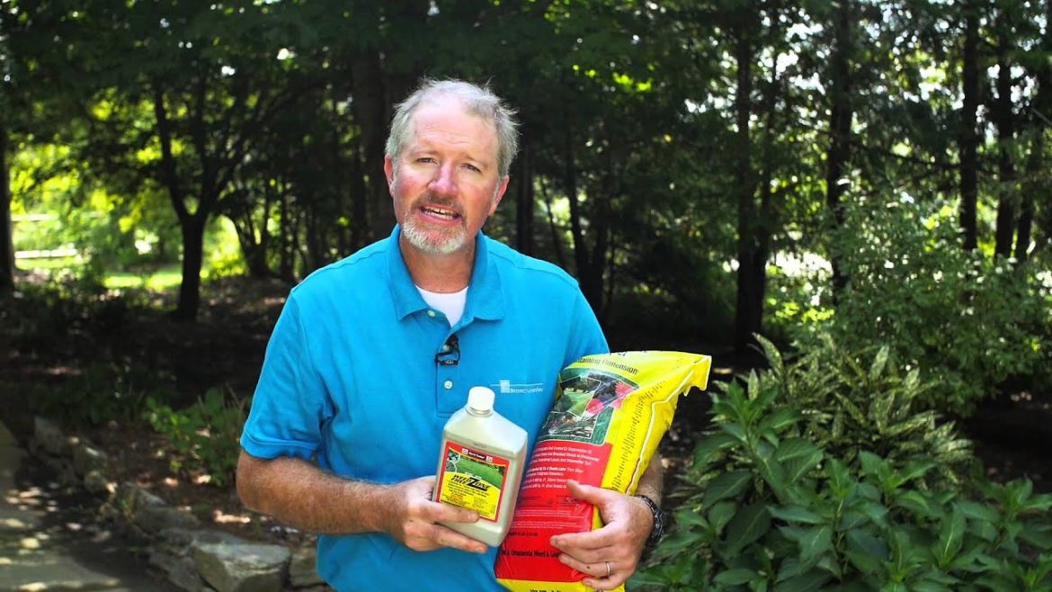 Garden Tips Weed Control