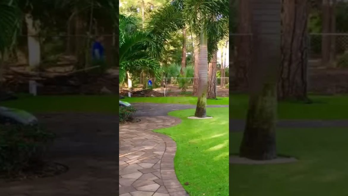 #landscapedesignideas #shortvideo #backyardideas #tiktok #trending #tree #viral #gardentastic #short