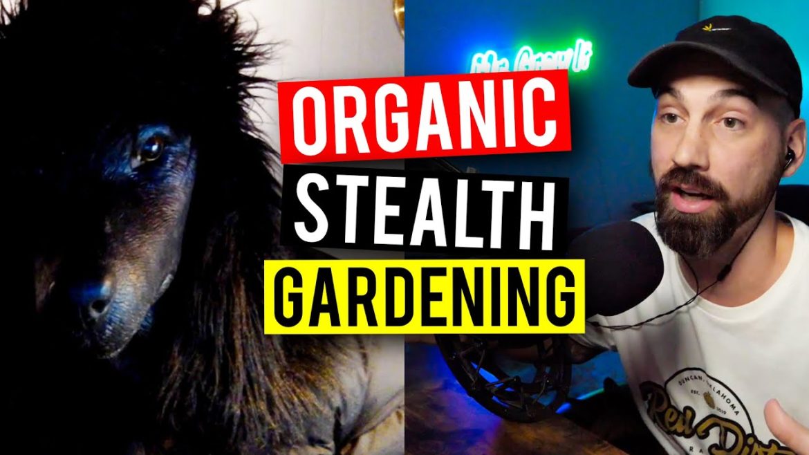 Organic Outdoor Gardening (Stealth Style)(Garden Talk #96)