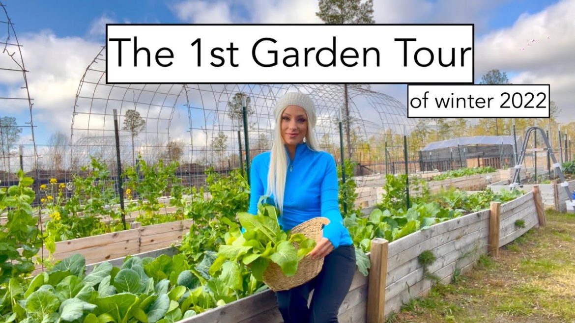 The 1st Garden Tour : of Winter
