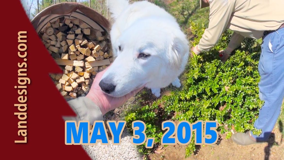 Holzhausen wood pile, Garden Tips, New Puppy - May 3, 2015 Update