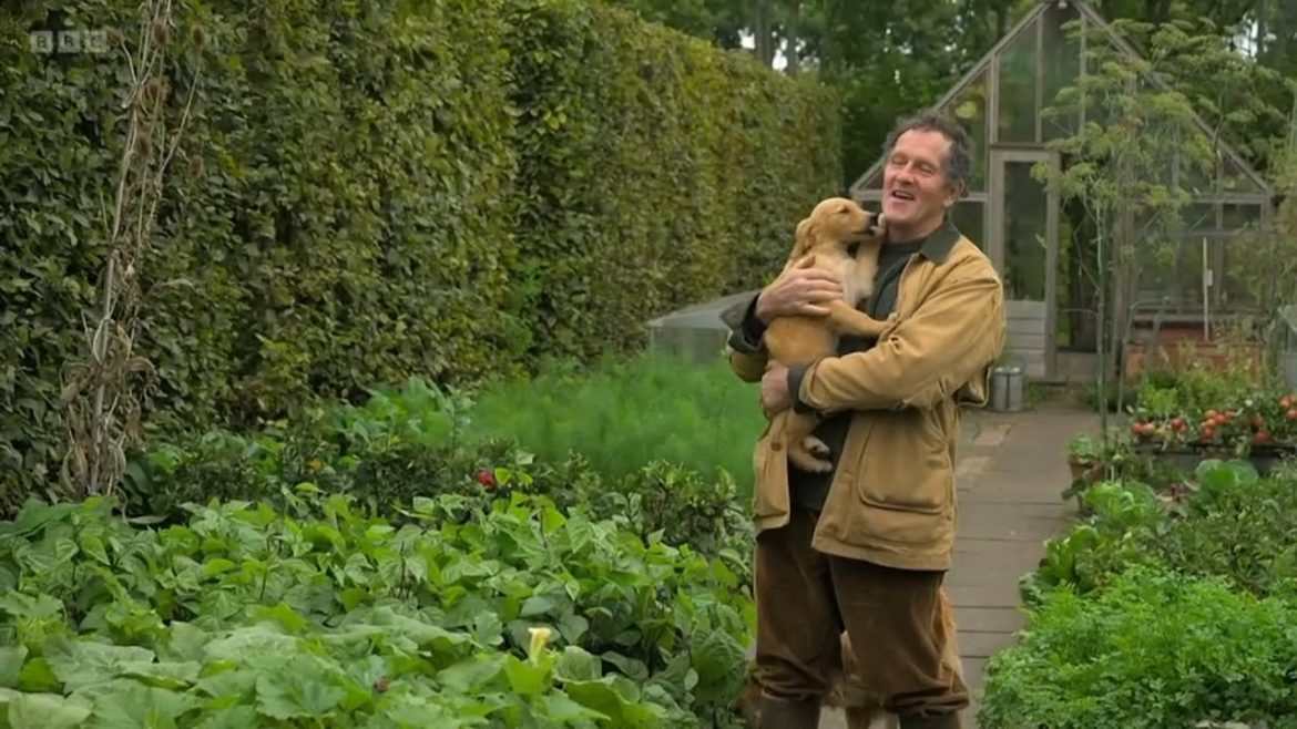 Gardeners' World 2022🍀Winter Specials Episode 4