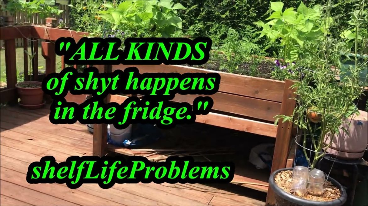 Leo Season Garden Sesh, with a Self-Watering Hydration Intermission Leo Season Garden Sesh, with a Self-Watering Hydration Intermission