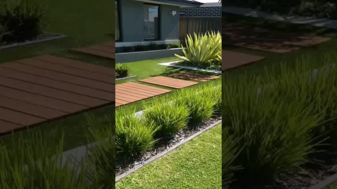 #backyard #shortvideo #landscapedesignideas #trending #tree #tiktok #gardentastic #shorts #backyard #shortvideo #landscapedesignideas #trending #tree #tiktok #gardentastic #shorts