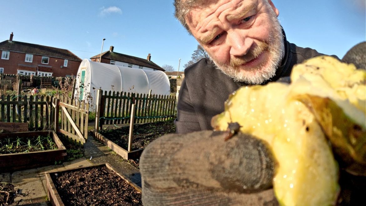 I've Just Ruined Christmas Dinner