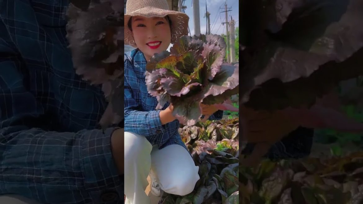 My recreational life after work is still growing vegetables #shorts My recreational life after work is still growing vegetables #shorts