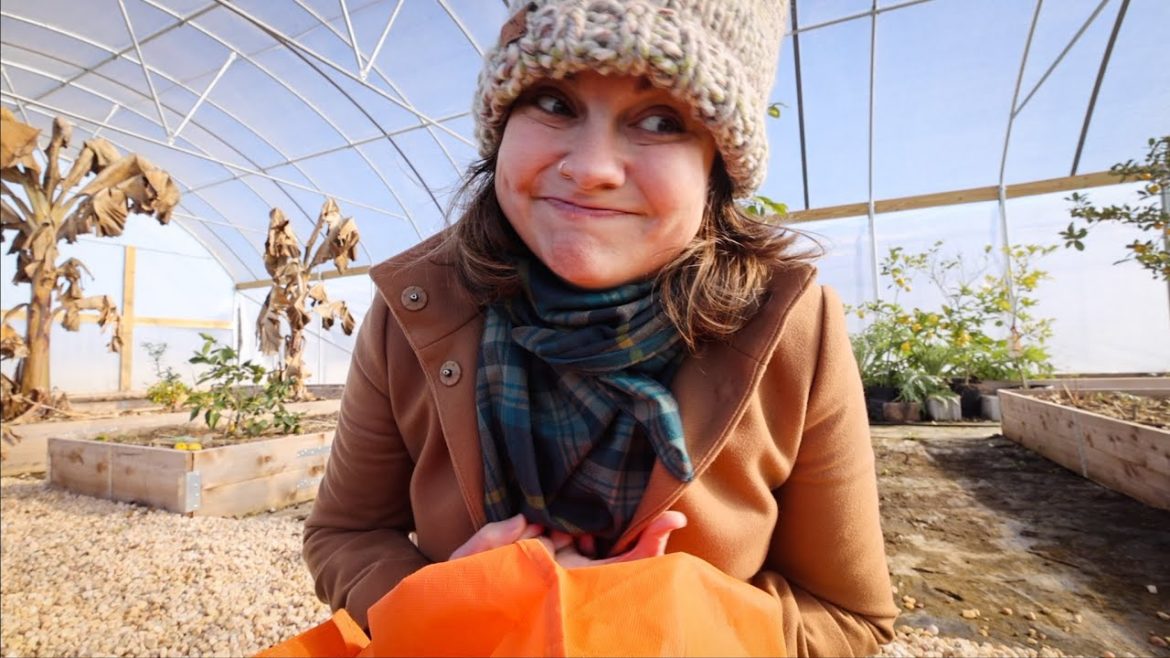 Roots and Refuge Farm: Kiss It Goodbye (Preparing for the BIG Freeze) | VLOG Kiss It Goodbye (Preparing for the BIG Freeze) | VLOG
