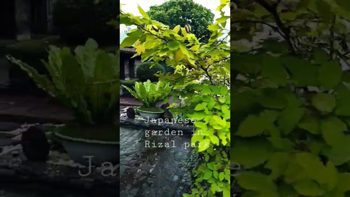japanese garden Rizal park