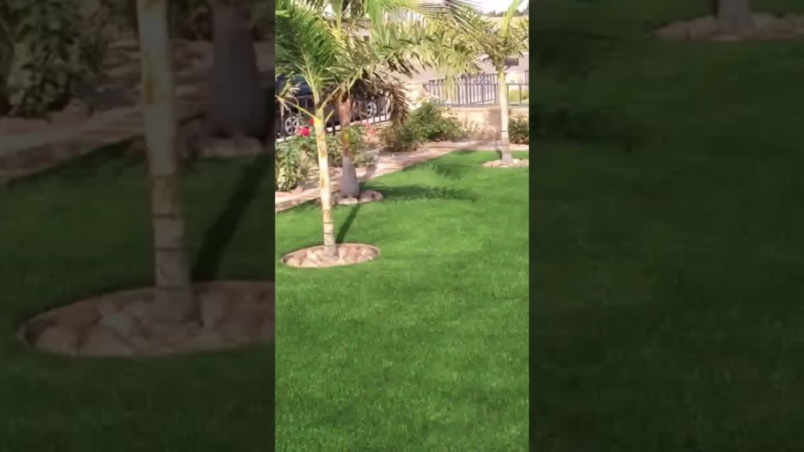 #backyardideas #shortvideo #landscapedesignideas #tree #trending #viral #tiktok #gardentastic #short