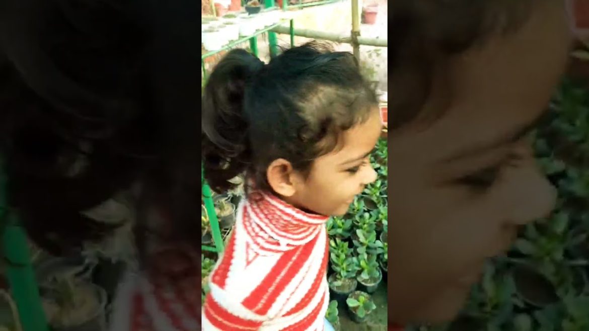 golu pedle rahi h #shorts ##viral #trending #viralshorts