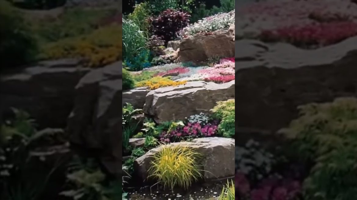 #backyardideas #shortvideo #watergarden #howto #tiktok #trending #gardentastic #viral #shorts