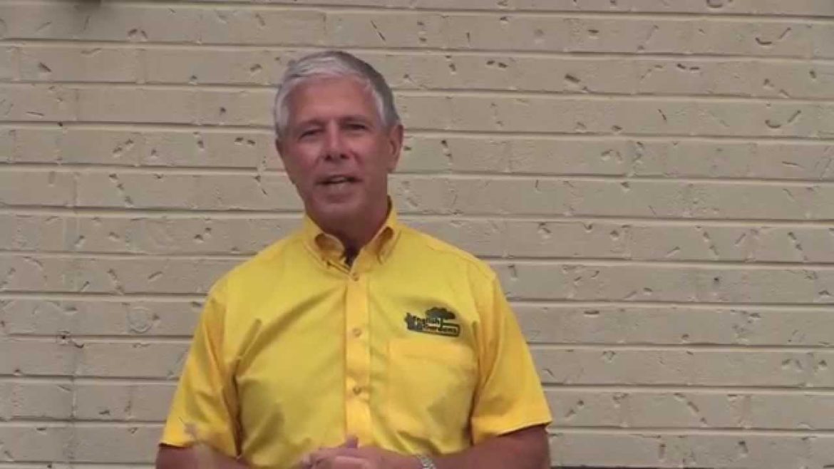 How To: Refresh a Summer Container Garden ENGLISH GARDENS