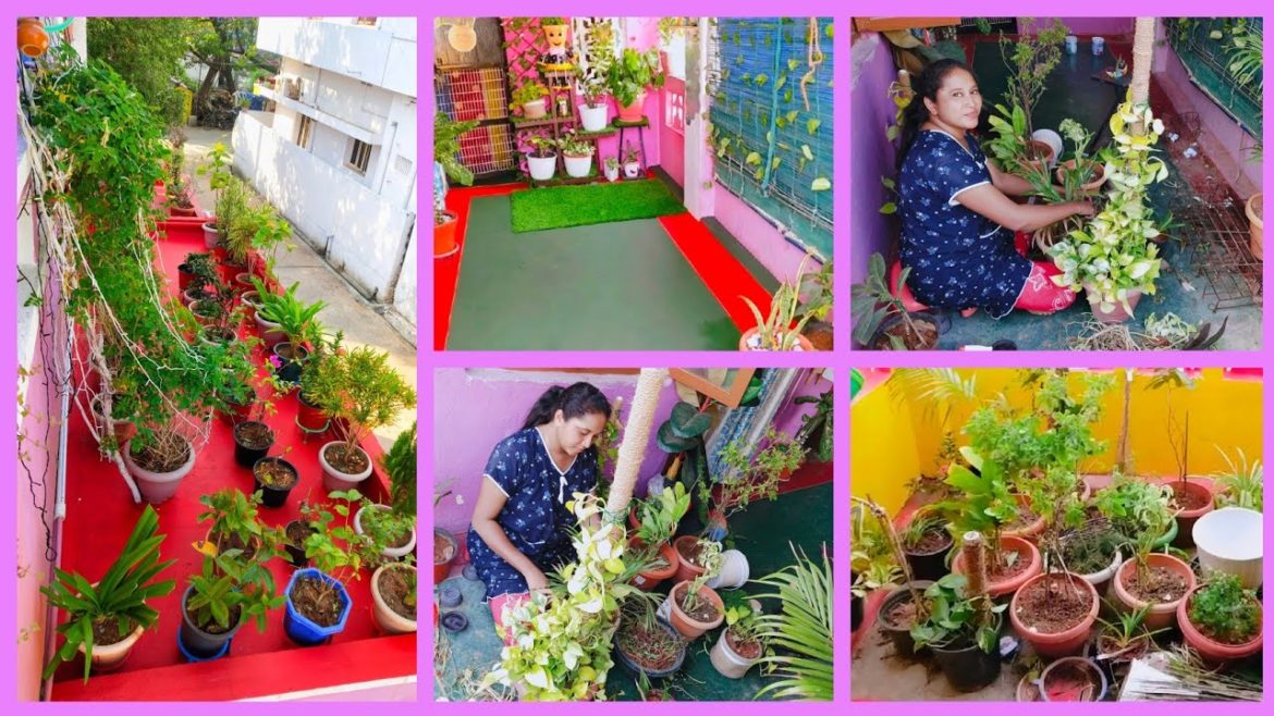 messy //garden// into beautiful// garden// with tips#my  dad's way, my style