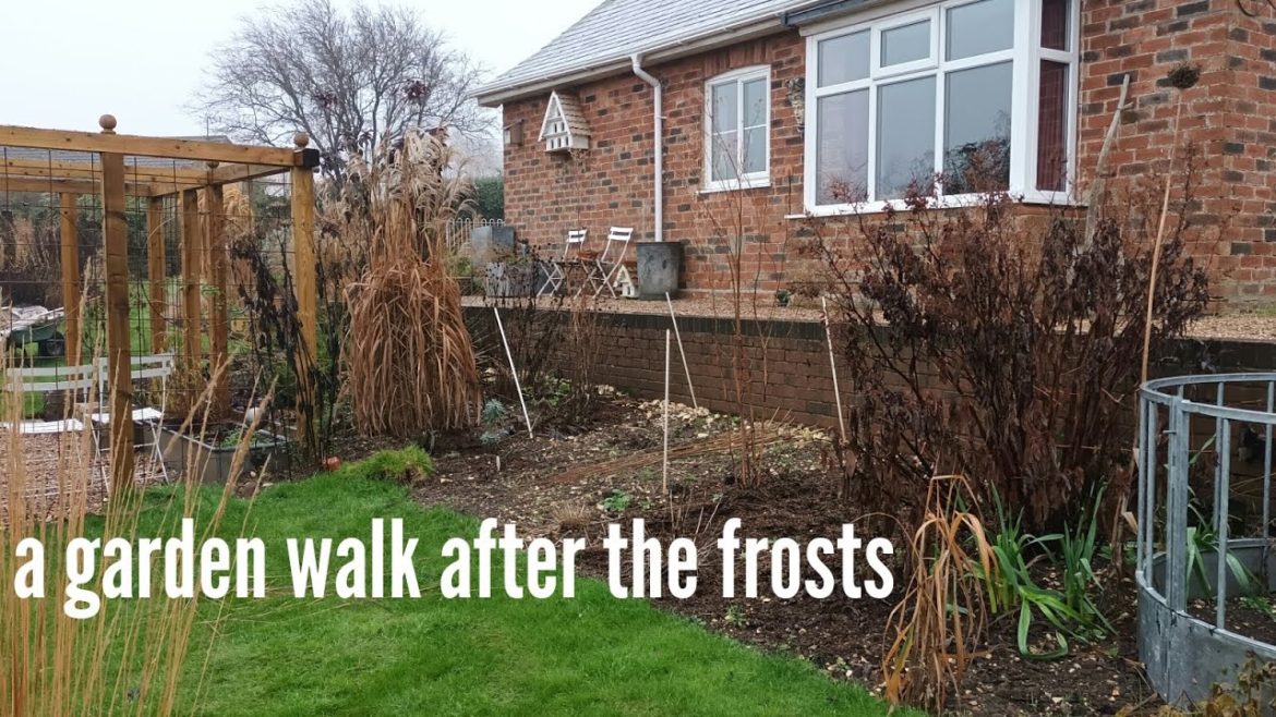 A walk in the garden after the frosts