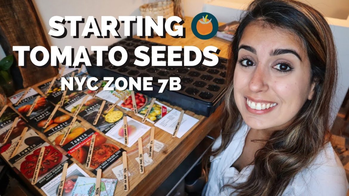 Starting Tomato Seeds (On my birthday!) | Urban Gardening in New York City