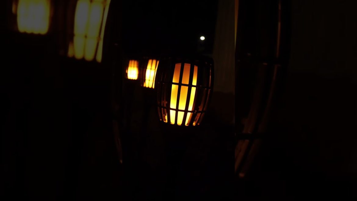 Everbeam -   Solar Torch  Flame Lights -  Review  ❤️