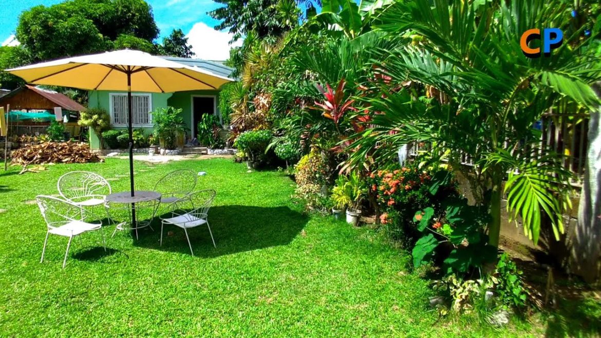 COZY LARGE FRONT YARD GARDEN