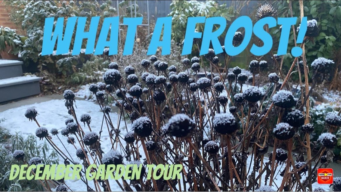 Vlog #22 - December Garden Tour - Winter garden - Frosty backyard tour