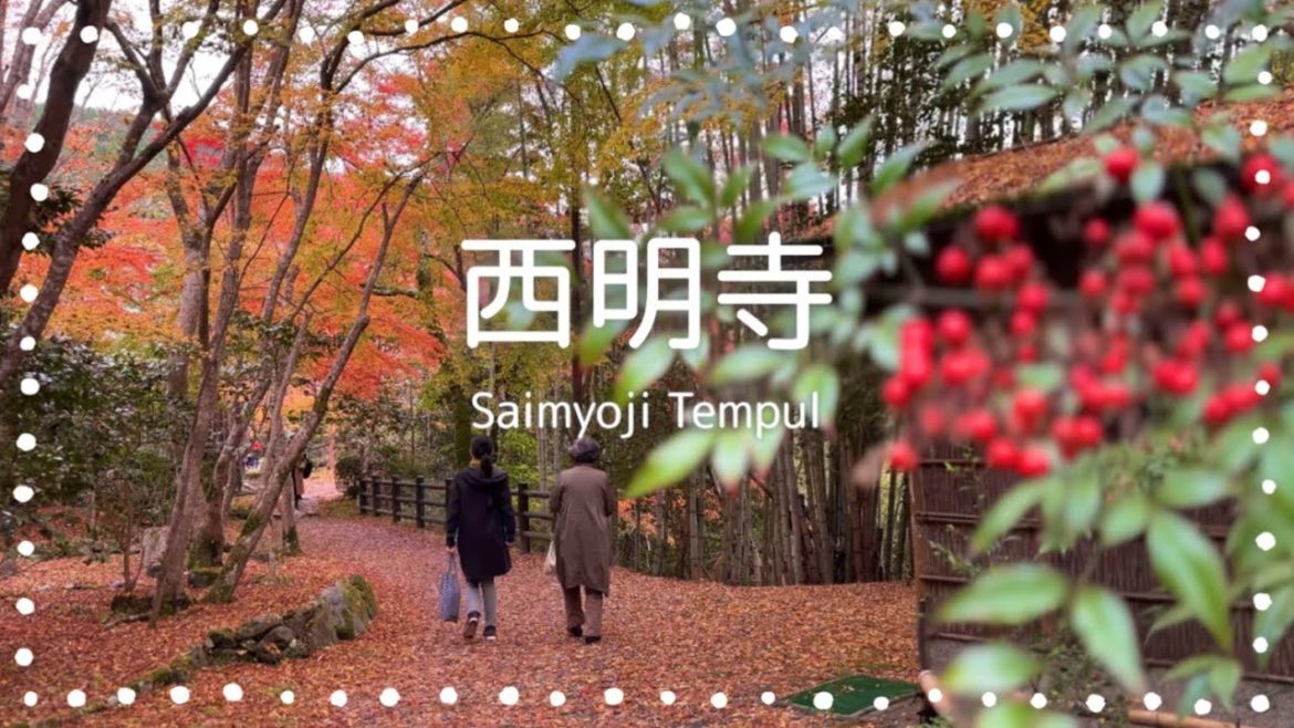 【京都vlog】槙尾山 「西明寺」の紅葉🍁Japanese garden in Kyoto. Autumn leaves of Saimyoji Temple.