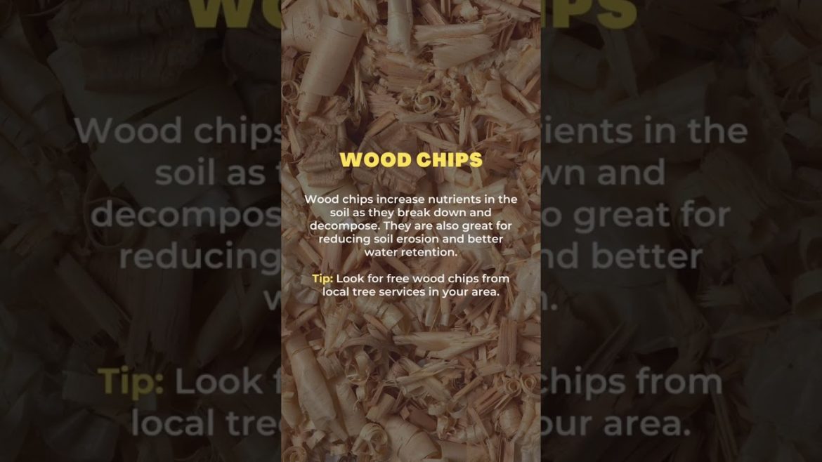 3 simple ways to improve your garden soil today 🍂 Food Forest Abundance Minnesota