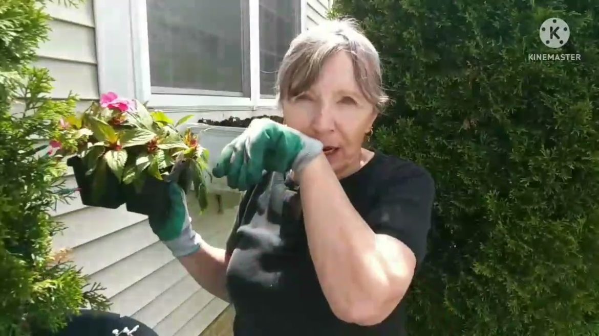 DAY147 INFLATION FIGHTING FREEZER & PANTRY MEALS❤PLANTING A CONTAINER GARDEN❤FREE BOOKS❤WALK DAY 4