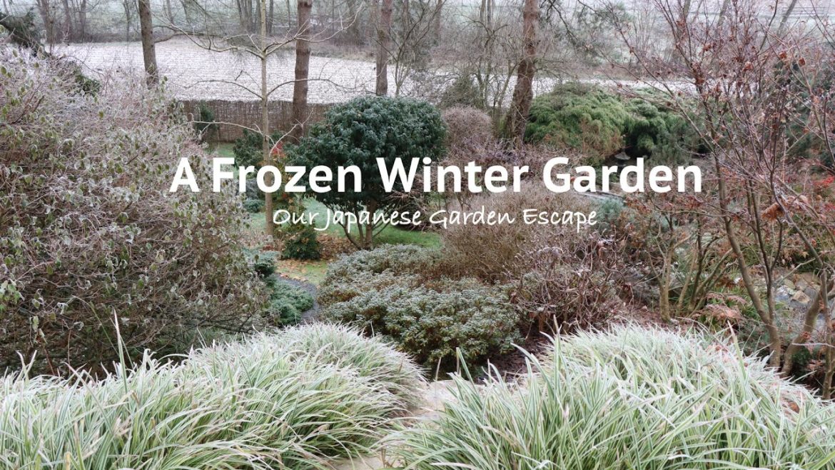 Frozen Winter Garden Tour | Our Japanese Garden Escape Frozen Winter Garden Tour | Our Japanese Garden Escape
