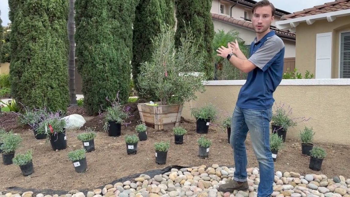 Montecito Inspired Garden Tour | Installation Day Garden Tour Montecito Inspired Garden Tour | Installation Day Garden Tour