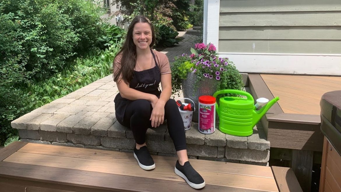 Let's Grow: Summer Container Garden Care ENGLISH GARDENS Let's Grow: Summer Container Garden Care ENGLISH GARDENS