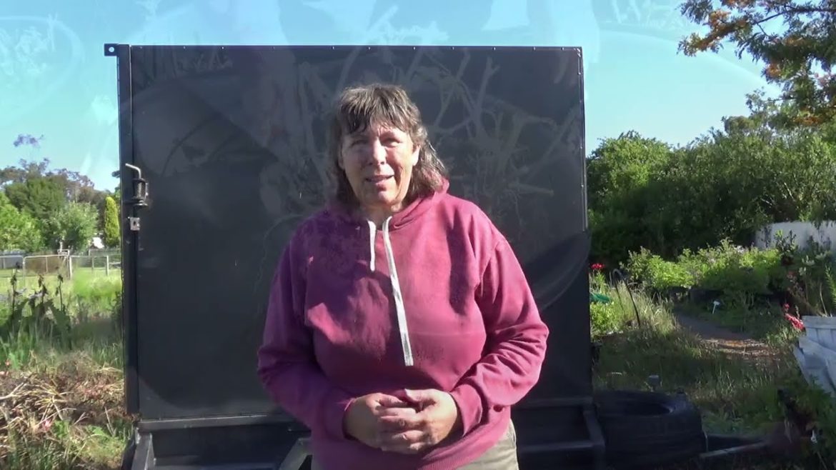 TPS potato reveal - 19th Dec.