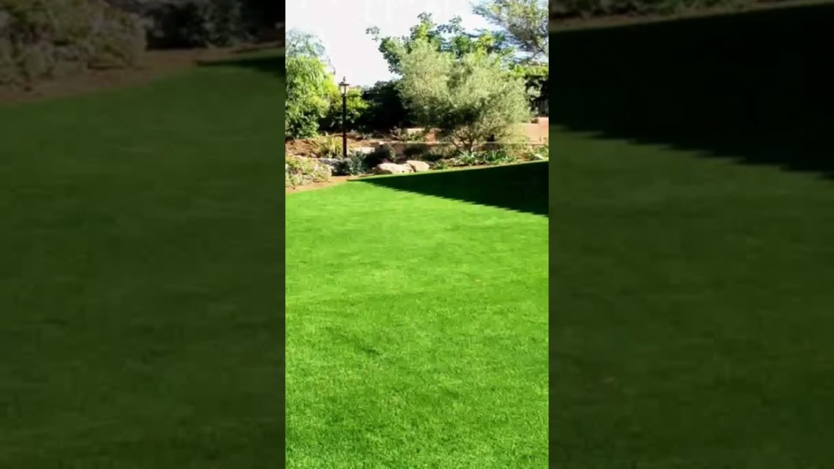 #backyardideas #shortvideo #yoga #fitness #trending #tiktok #gardentastic #shorts