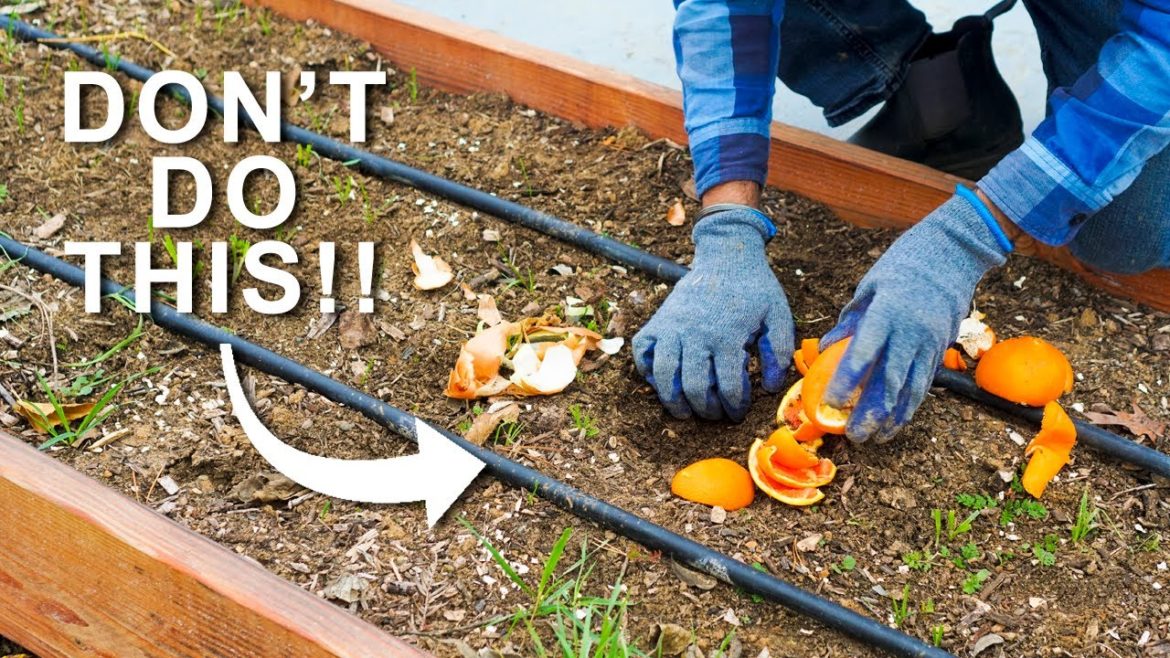 NEVER Bury These Things in Your Garden NEVER Bury These Things in Your Garden