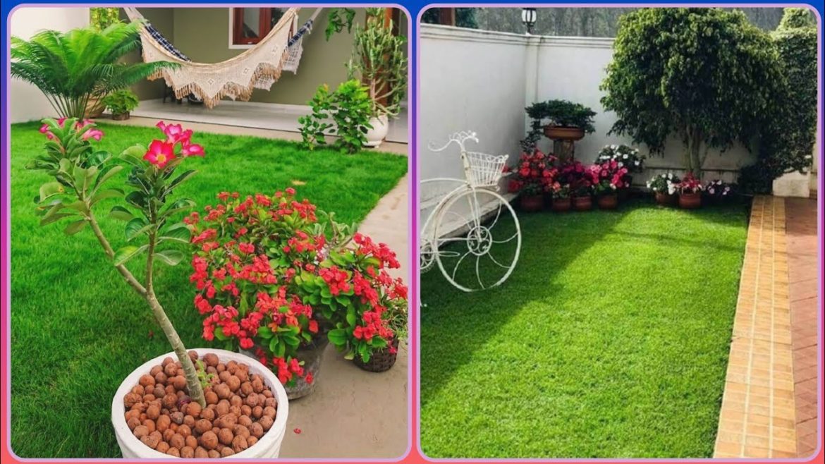 Modern Front yard Landscaping For Outdoor Spaces _ Home Decor