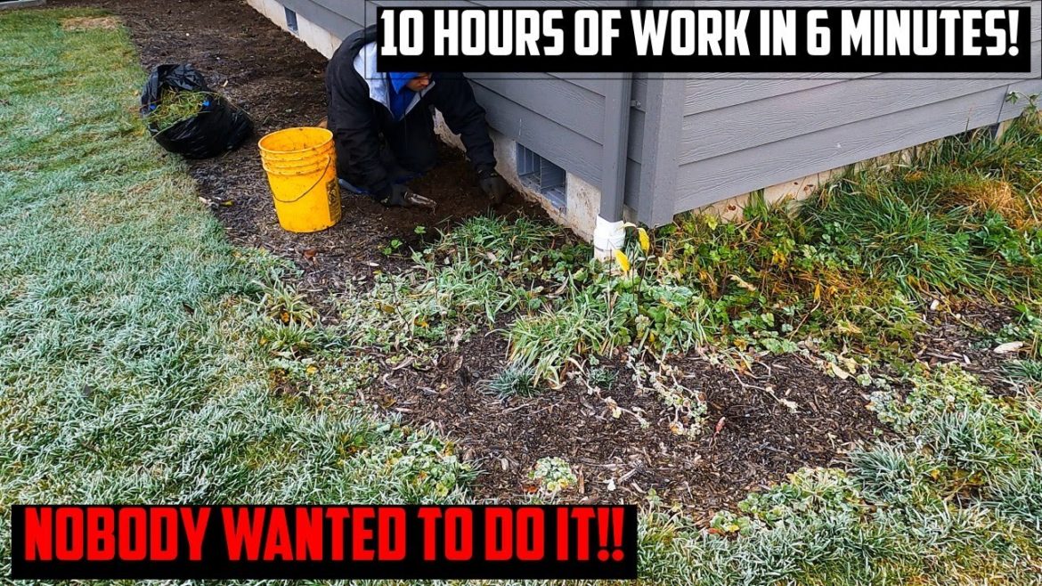 FLOWERBEDS FULL With WEEDS At New Construction! Weeding FLOWERBEDS FULL With WEEDS At New Construction! Weeding