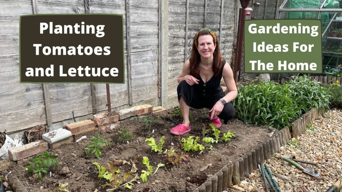 Vegetable Gardening Ideas For The Home - Planting Tomatoes And Lettuce In Garden Together